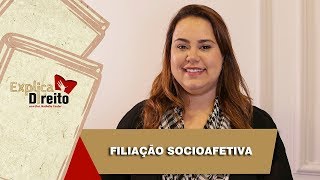 Explica Direito Filiação Socioafetiva  2019 [upl. by Fulbright]