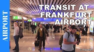 TRANSIT WALK AT FRANKFURT Airport FRA Terminal 1  Connection Flight Transfer Arriving amp Departing [upl. by Maiah]